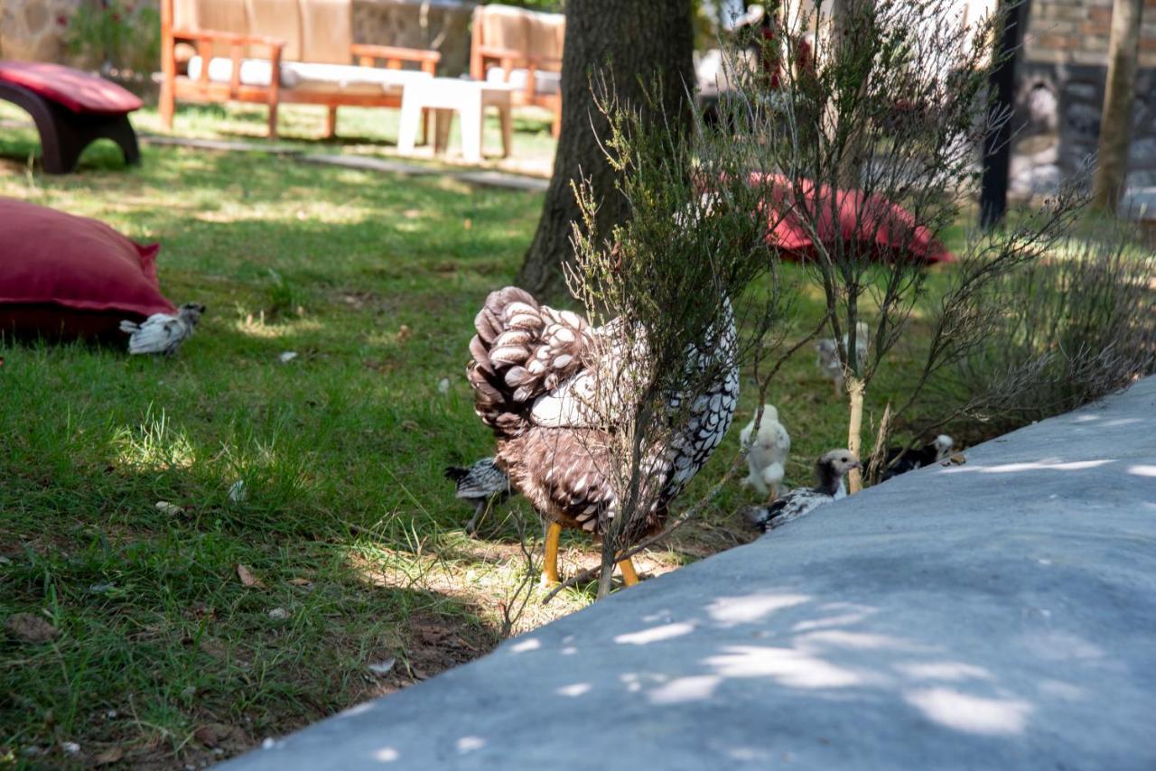 Fener Motel Ağva Buitenkant foto