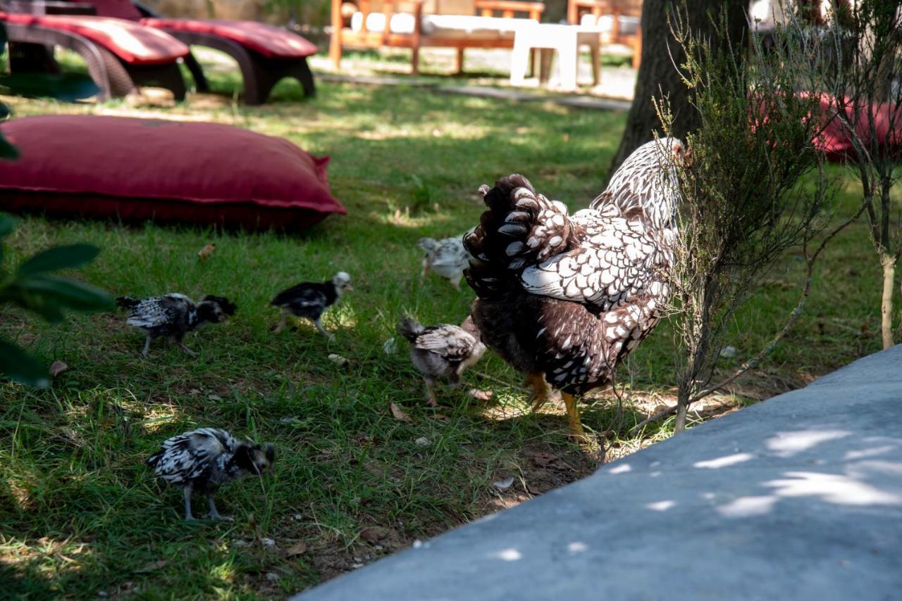 Fener Motel Ağva Buitenkant foto