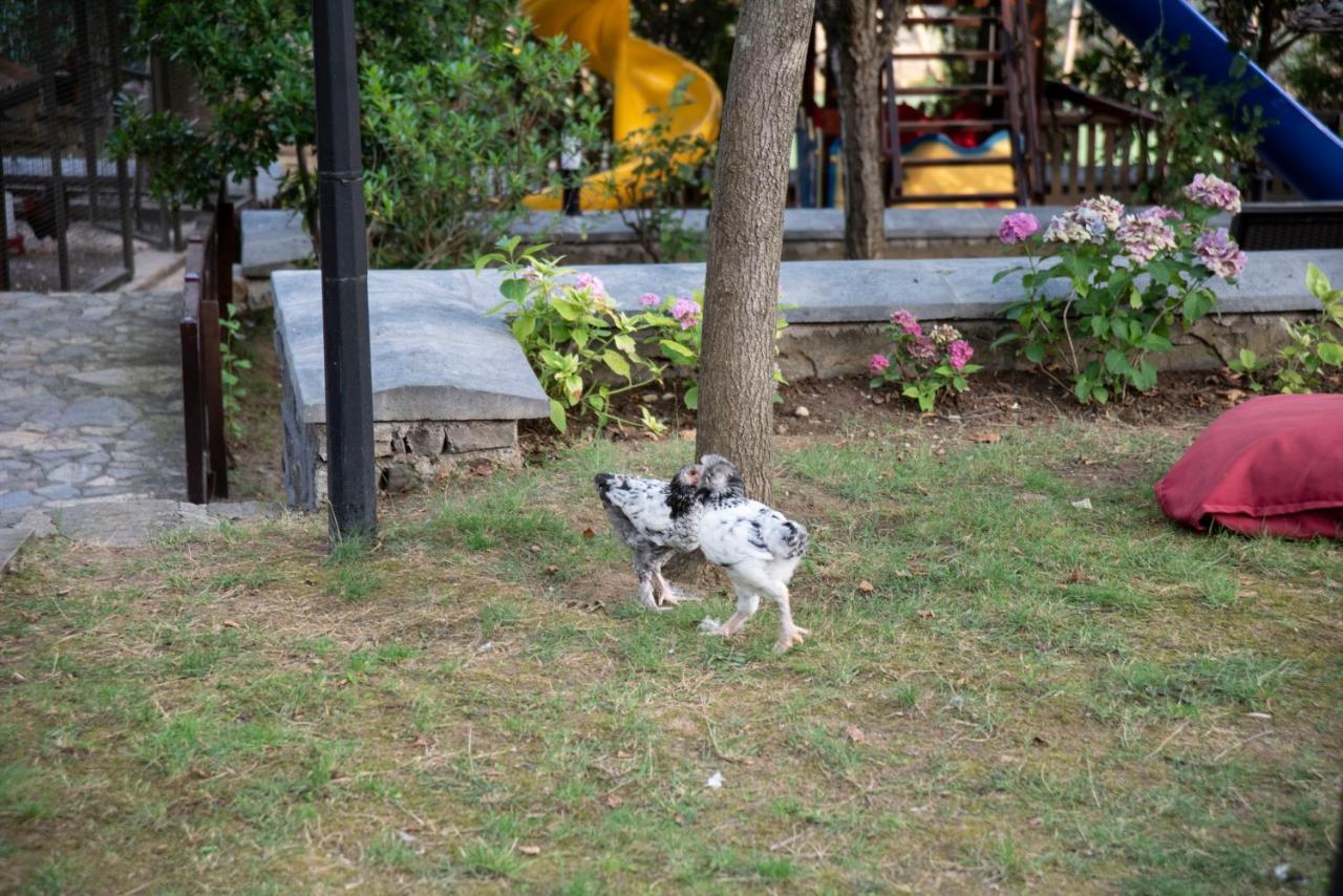 Fener Motel Ağva Buitenkant foto